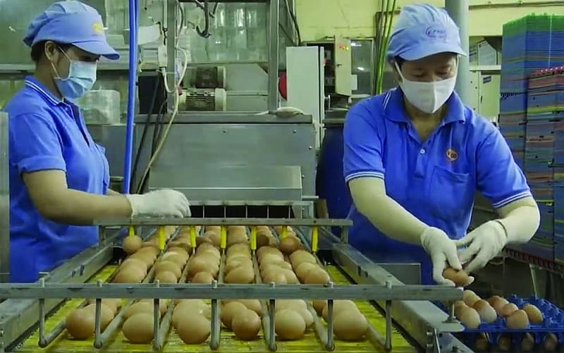 Food and food businesses successfully conquer the difficult market