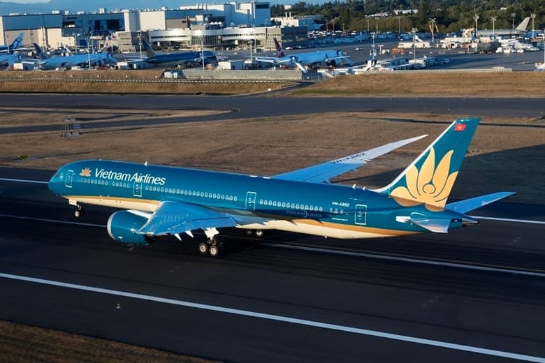 Proposed fleet capacity expansion for Vietnamese airlines