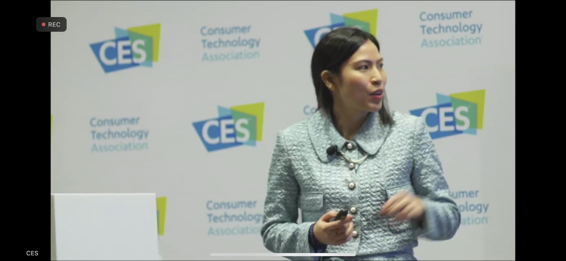 Vietnamese representative wins CES Innovation Awards
