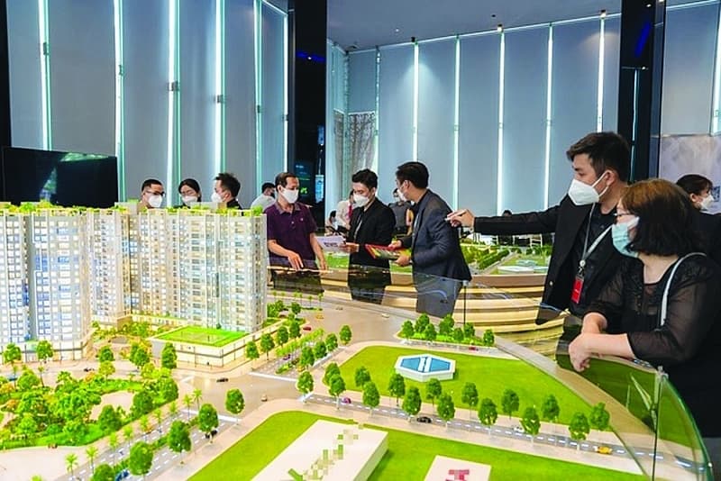 Developing a transparent real estate market with true value