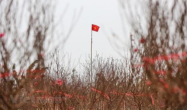 Cold weather to blanket northern Vietnam in Lunar New Year holidays