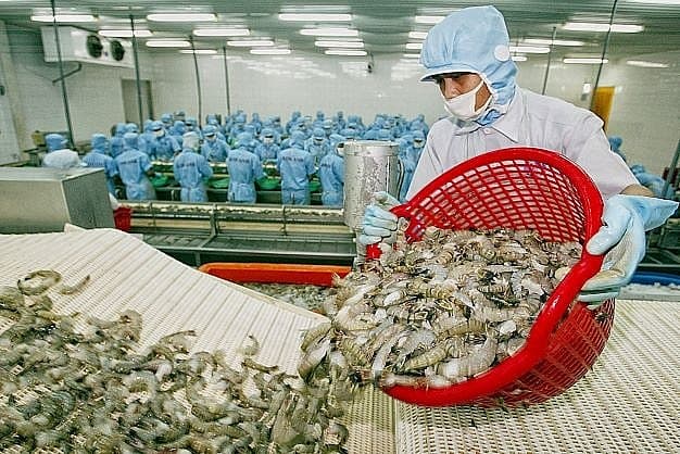 Seafood sector striving to expand export market