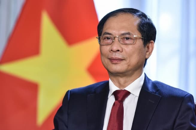 Strongly Promoting “Vietnamese Bamboo“ Diplomacy