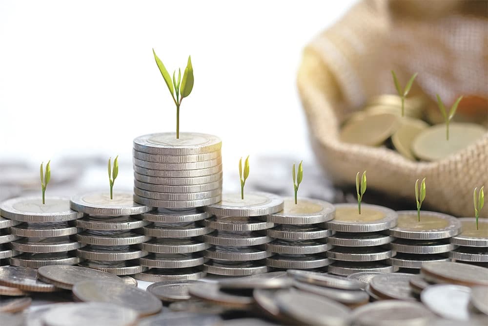 Startups seek the knowledge to flourish