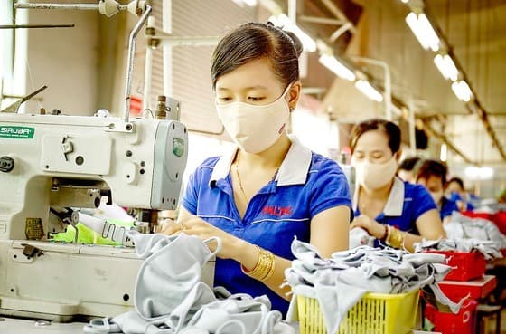There should be synchronous support for enterprises to speed up: Expert