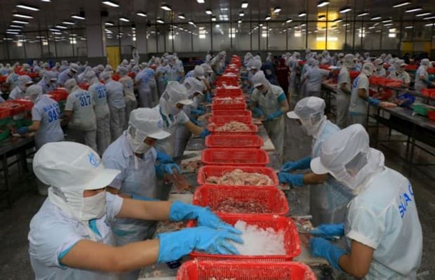 Weakening demand continues to dog Vietnamese firms