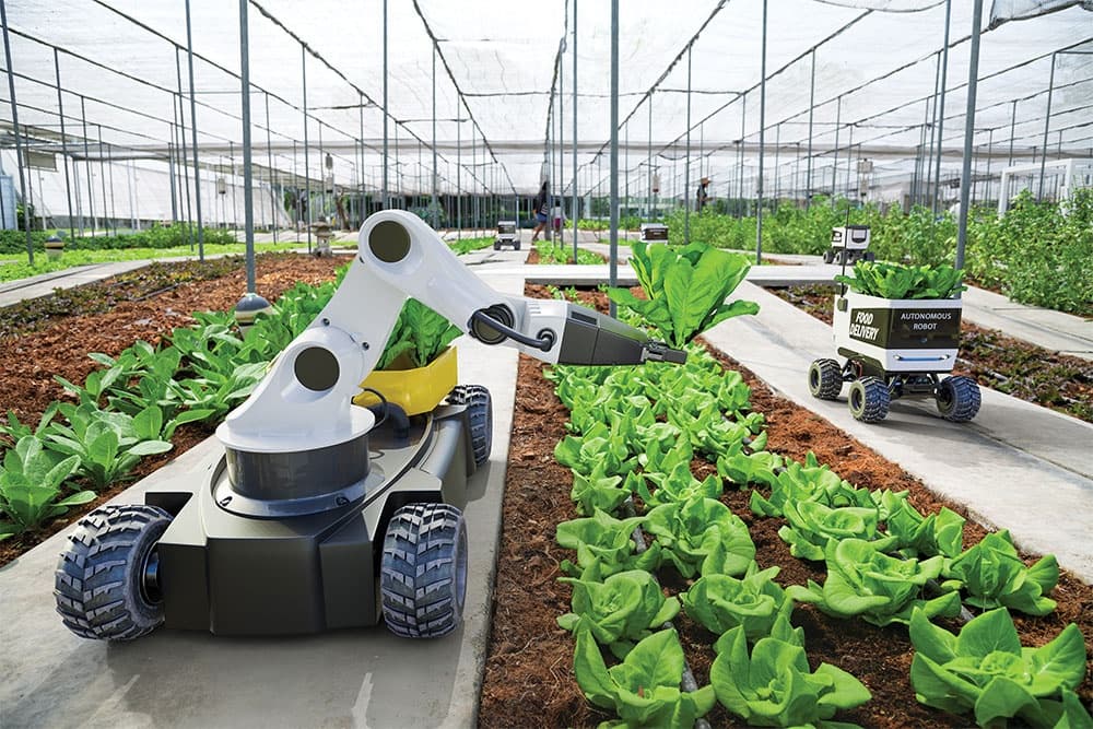 Conundrum ahead with robotics rise