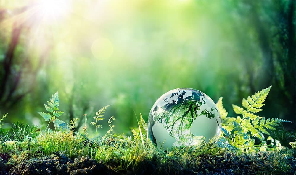 Vietnamese export profits boost with green trade