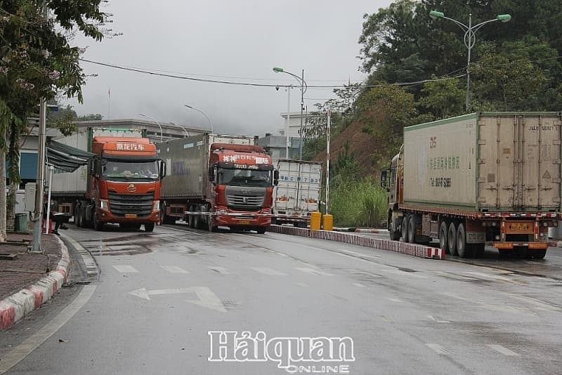 Exports of agricultural products soar