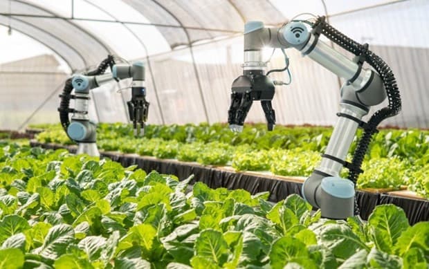 Science, technology, innovation to contribute over 50% to agricultural growth by 2030