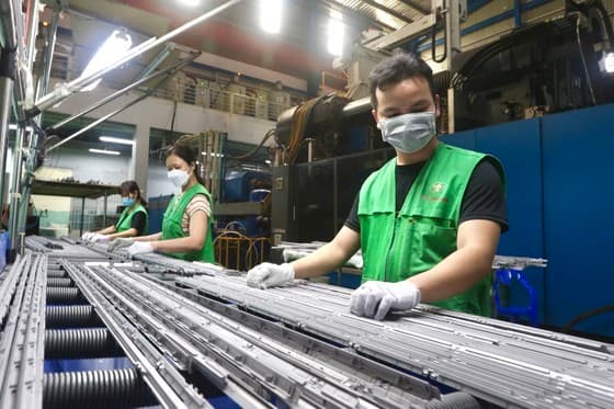 Capital flow needs to be unblocked to support businesses