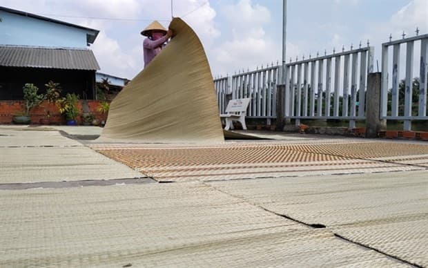 Tien Giang province to preserve craft villages