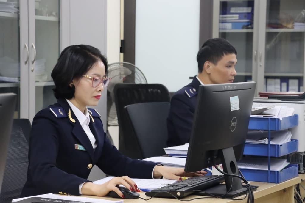 GDVC collects about VND25,000 billion in January