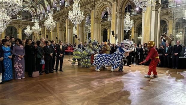 New Year gathering held by Vietnamese Embassy in France