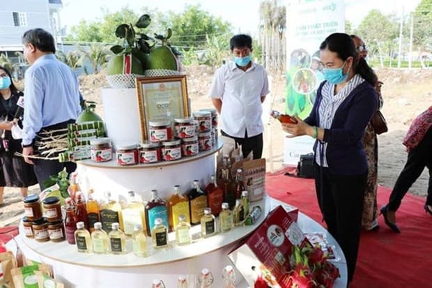 F&B cooperatives seize new opportunities amid economic difficulties