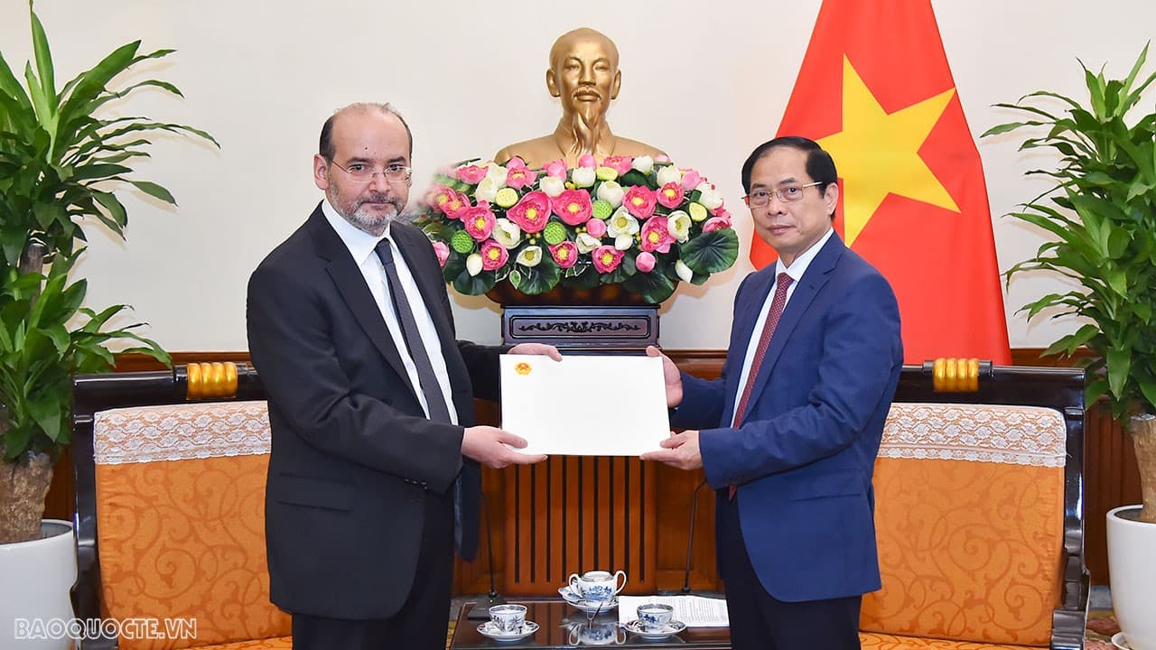 Foreign Minister Bui Thanh Son receives Turkish Ambassador Haldun Tekneci
