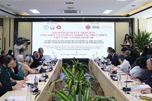 Vietnam-Belgium Friendship Association promotes bilateral cooperation