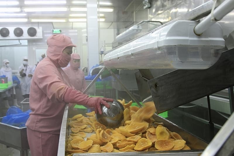 What do enterprises do to maintain the export market of agricultural products to China?