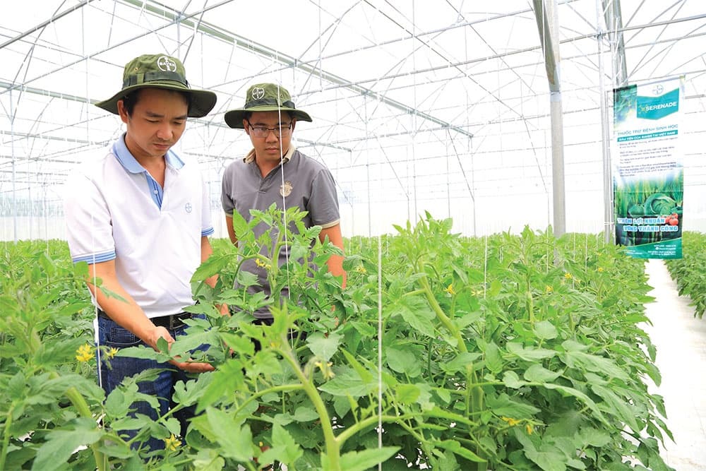 Agriculture can be driver to attract overseas funds