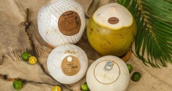 Positive outlook for Vietnam's coconut exports: experts