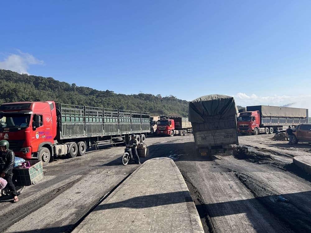 Quang Tri Customs makes great effort to boost import and export activities across area