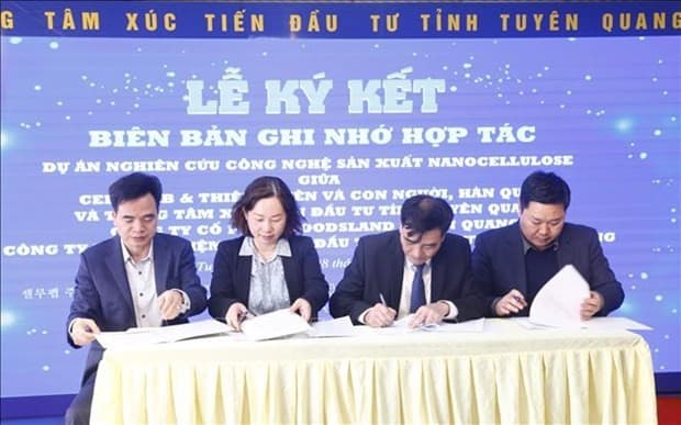 Tuyen Quang sets sights on developing nanocellulose production technology