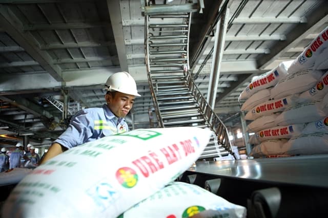 Falling price of fertiliser causes headaches for producers