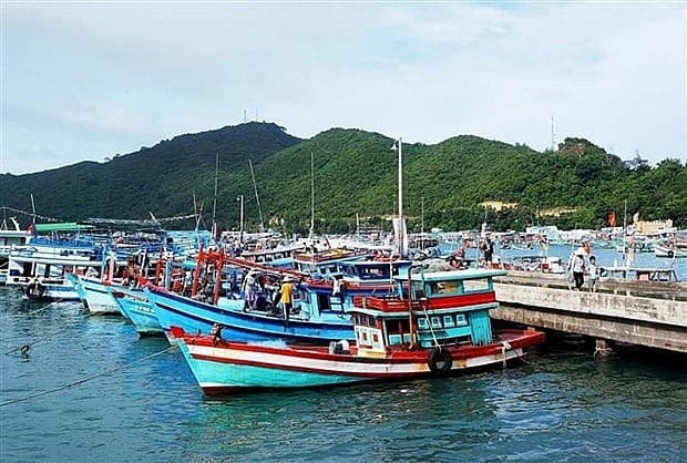 Phu Quoc ramps up efforts against IUU fishing
