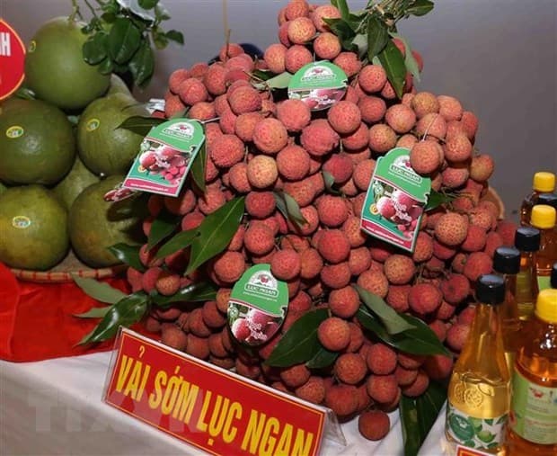 Trademark protection important for farm produce to go far in int'l markets