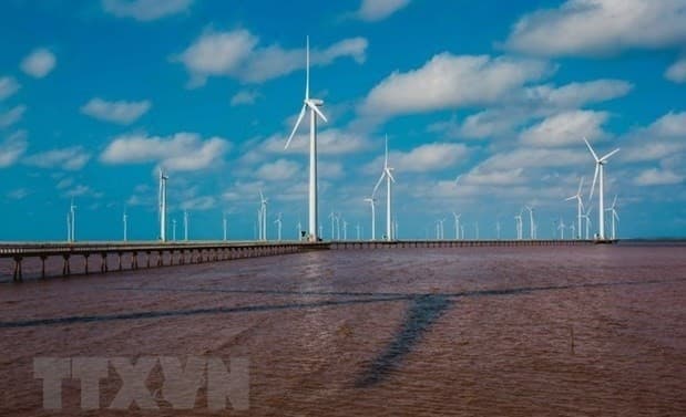 Vietnam has dual opportunity to develop offshore wind power: Danish Ambassador