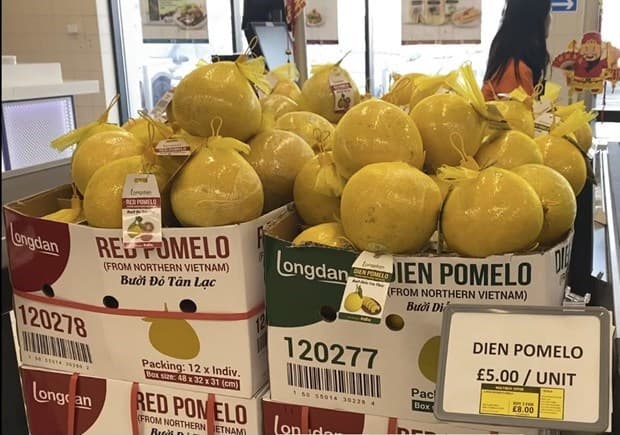 Opportunities for Vietnamese goods in foreign supermarkets