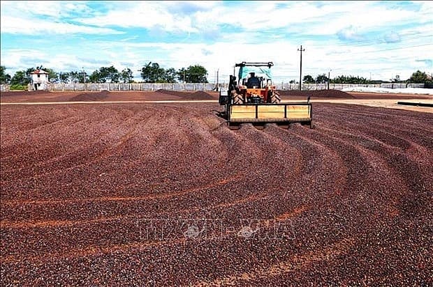 Vietnam posts 78.9 pc growth in coffee export value to Spain