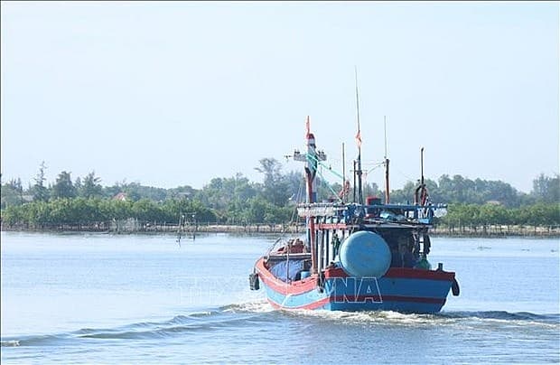 Quang Tri fights illegal fishing for sustainable fisheries development
