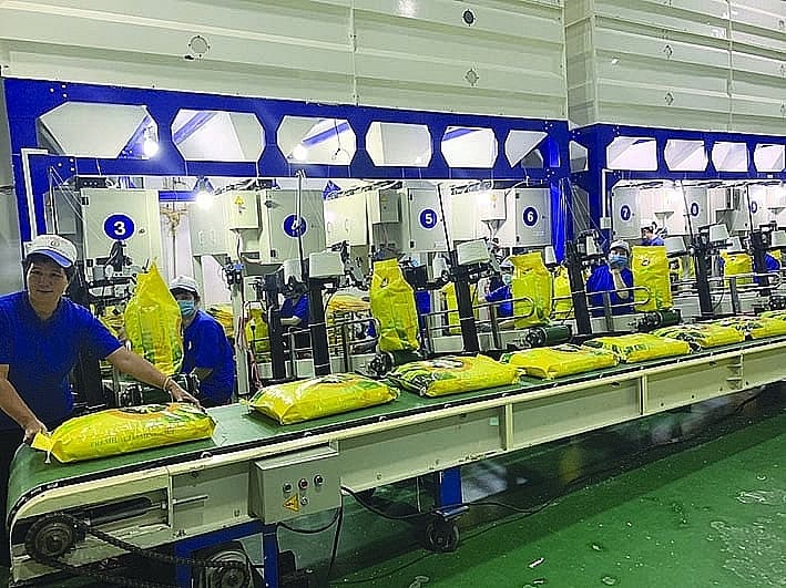 Removing bottlenecks for the sustainability of the rice industry