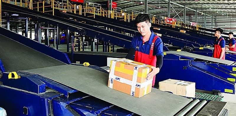 Grasping more export opportunities via digital platforms