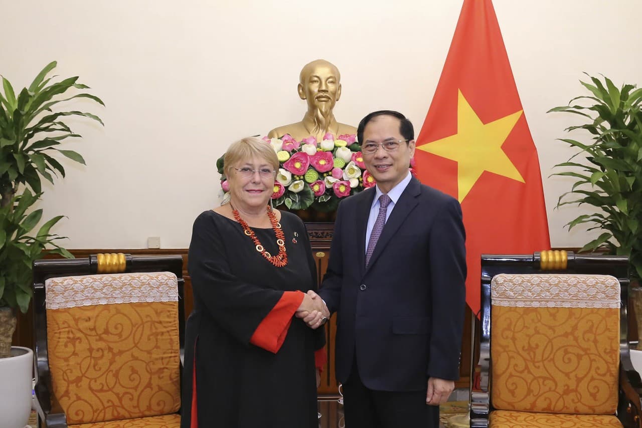 Vietnam always attaches importance to comprehensive partnership with Chile: FM