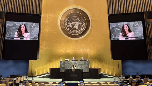 Vietnam calls for comprehensive, all-society approach to waste management: Diplomat to UN