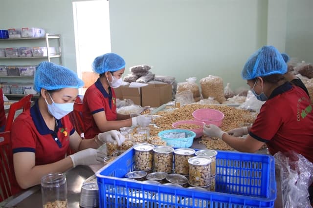 Cashew industry sees unusual trade pattern in early 2023