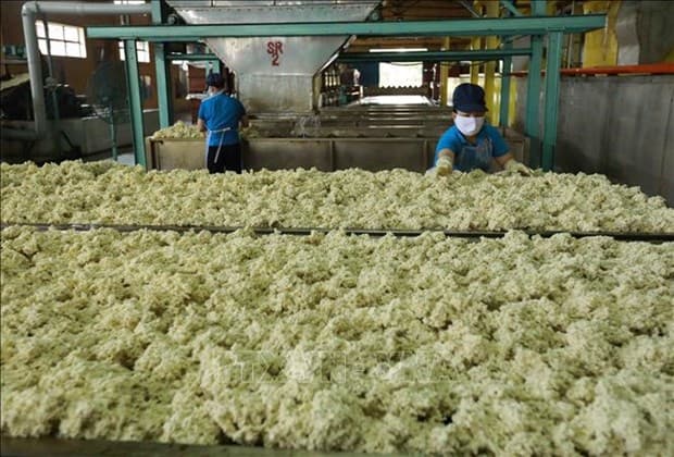 Rubber industry needs better grip on competitiveness in int’l market