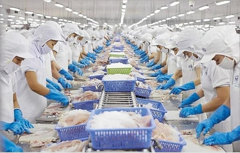 Vietnamese pangasius is popular in many markets