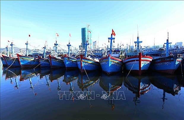 Binh Dinh province issues plan to fight IUU fishing