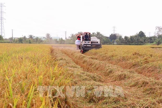 Global Conference on Sustainable Food Systems to open: MARD