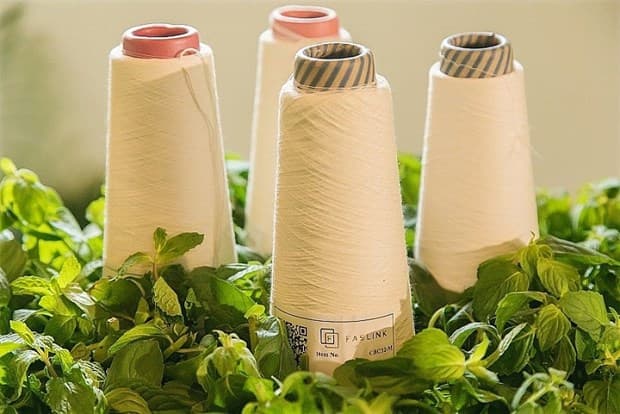 Garment sector must go green to ensure sustainable development