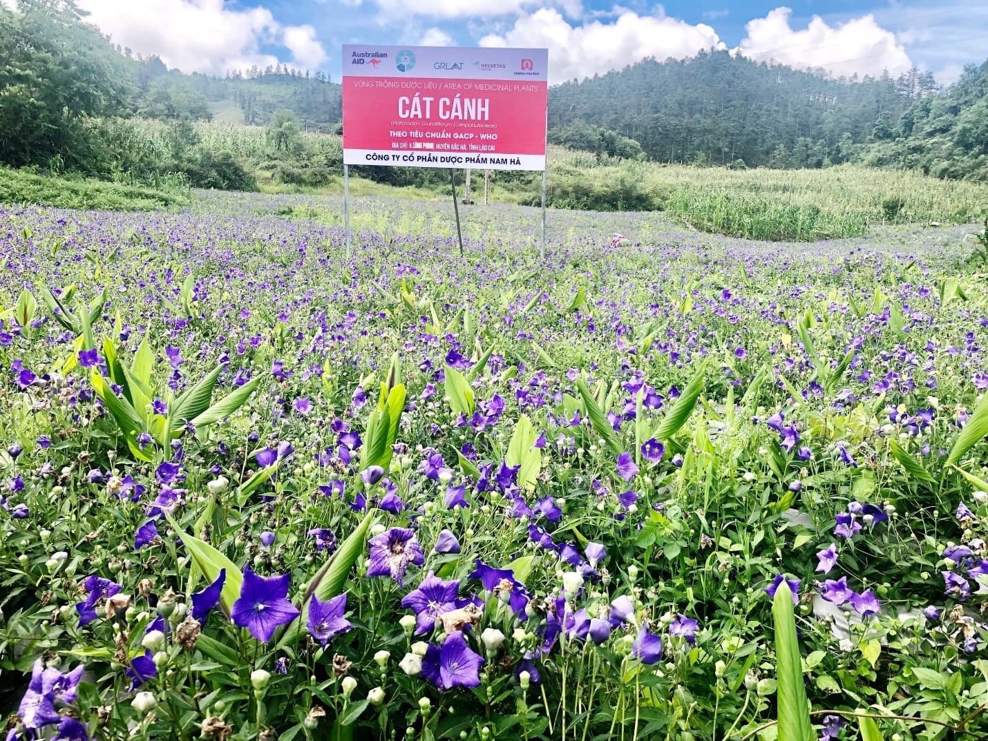 Nam Ha Pharmaceutical ensures quality for consumers