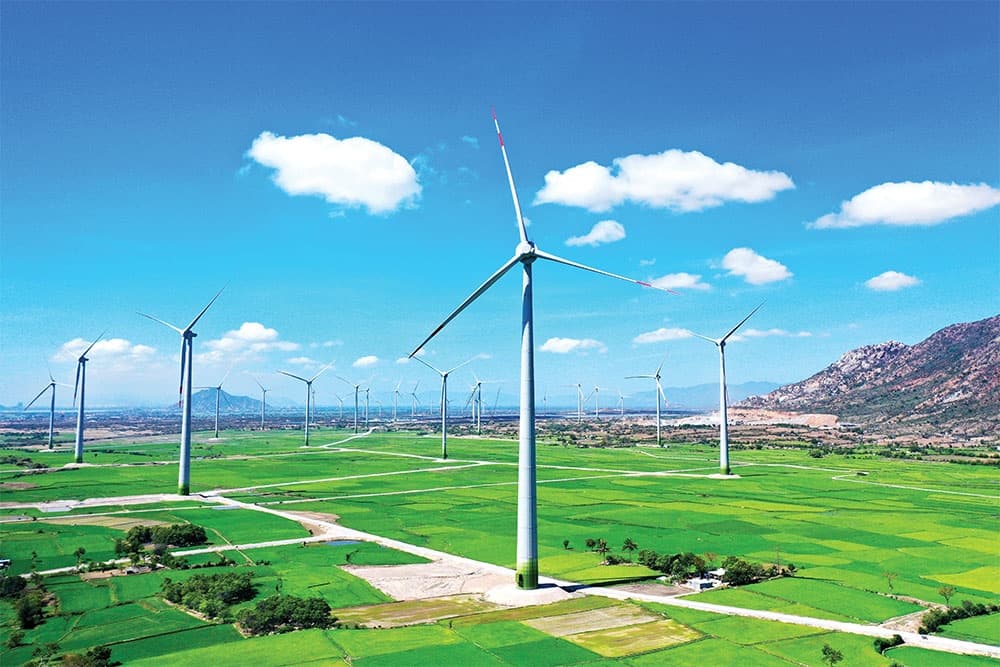 Distinct renewable energy law may be required tonic