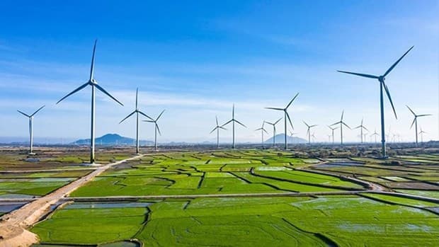 Vietnam’s green economy expected to reach 300 billion USD by 2050