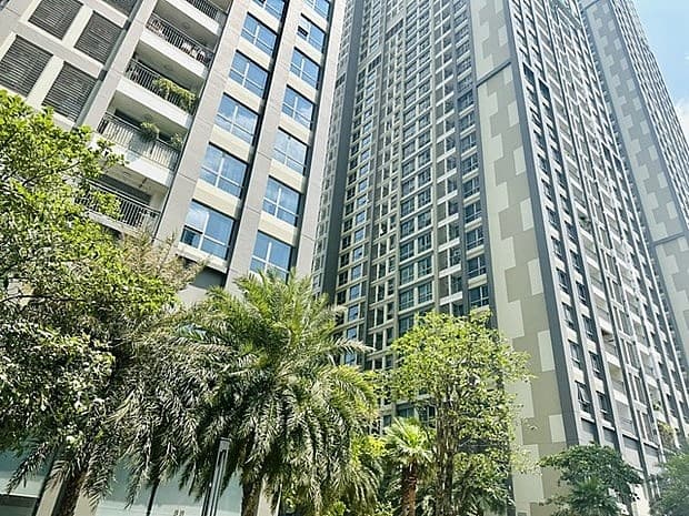 Real estate market needs credit solutions: experts