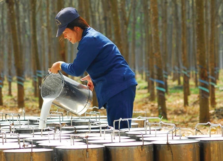 Rubber firms suffer poor first quarter
