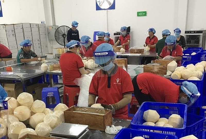 Enterprises are seeking capital to endure difficulties