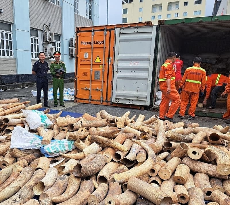 Customs handles 5,123 cases